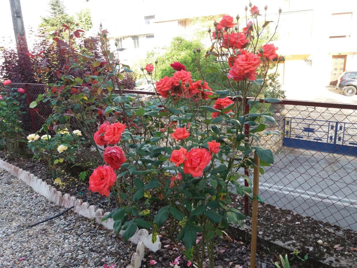 Bed And Breakfast Les Roses Multicolores Du 47 Fumel Kültér fotó